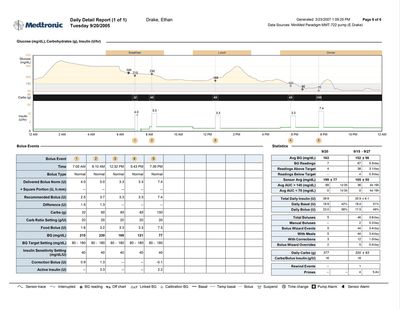 CareLink Pro daily report showing glucose patterns throughout the day