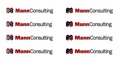 Mann Consulting identity exploration concept 1